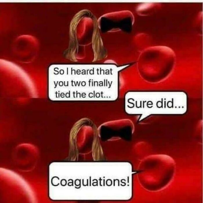 79 Science Memes That Hit With Mitochondria‑Level Powerhouse Humor 79 Science Memes That Hit With Mitochondria‑Level Powerhouse Humor