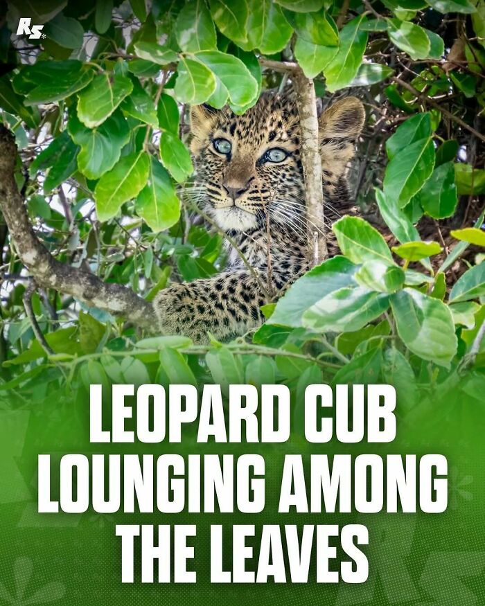 Explore Nature’s Hidden Gems With These 65 Incredible And Rare Animal Photos Explore Nature’s Hidden Gems With These 65 Incredible And Rare Animal Photos