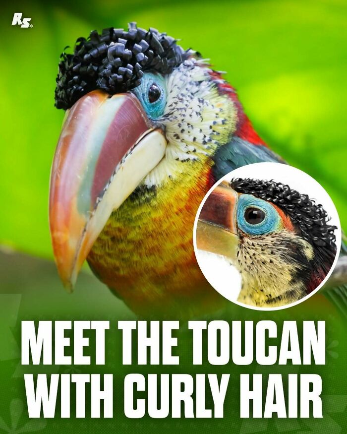 Explore Nature’s Hidden Gems With These 65 Incredible And Rare Animal Photos Explore Nature’s Hidden Gems With These 65 Incredible And Rare Animal Photos