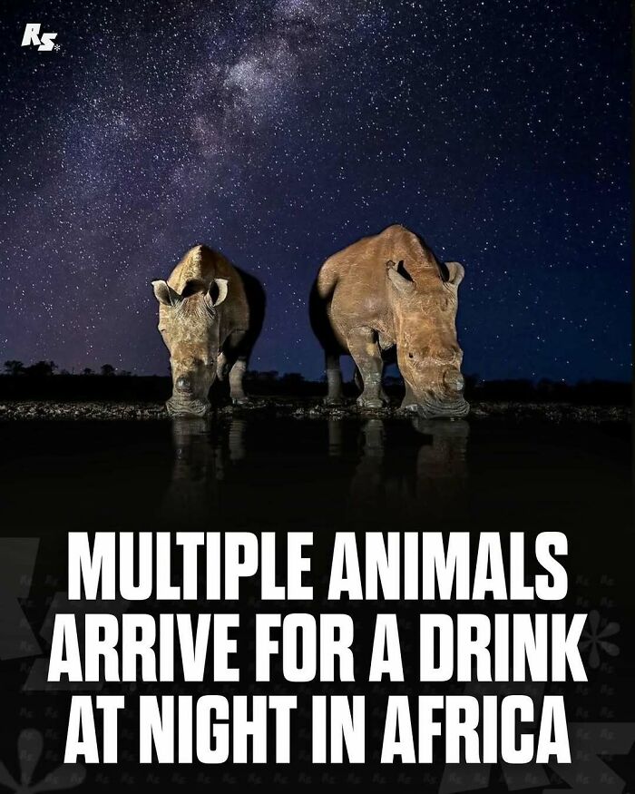 Explore Nature’s Hidden Gems With These 65 Incredible And Rare Animal Photos Explore Nature’s Hidden Gems With These 65 Incredible And Rare Animal Photos