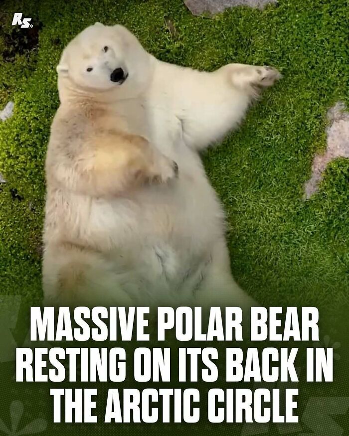 Explore Nature’s Hidden Gems With These 65 Incredible And Rare Animal Photos Explore Nature’s Hidden Gems With These 65 Incredible And Rare Animal Photos