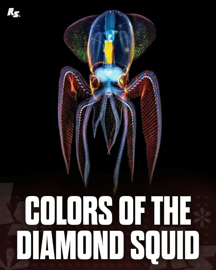 Explore Nature’s Hidden Gems With These 65 Incredible And Rare Animal Photos Explore Nature’s Hidden Gems With These 65 Incredible And Rare Animal Photos