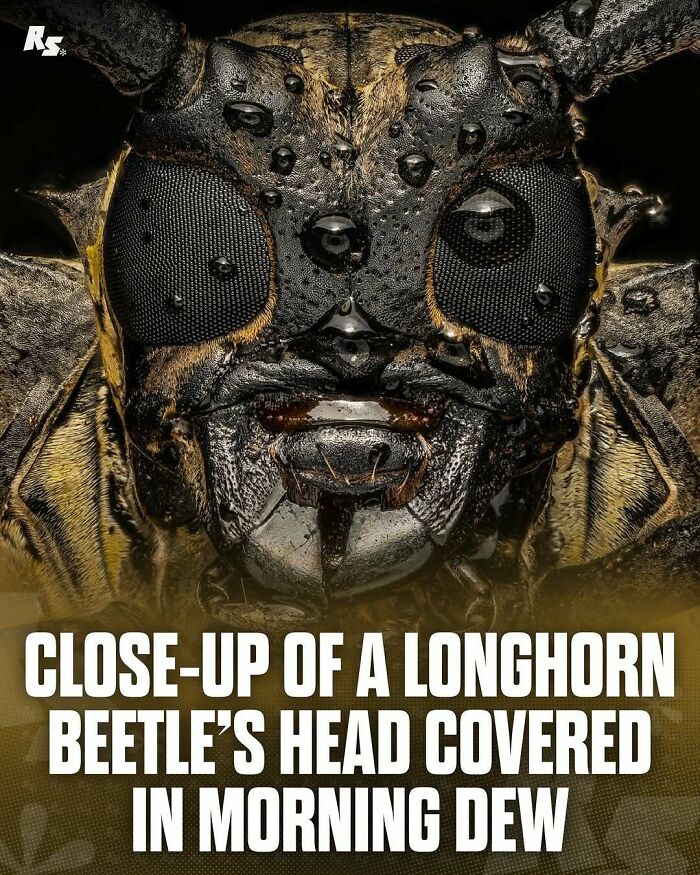 Explore Nature’s Hidden Gems With These 65 Incredible And Rare Animal Photos Explore Nature’s Hidden Gems With These 65 Incredible And Rare Animal Photos