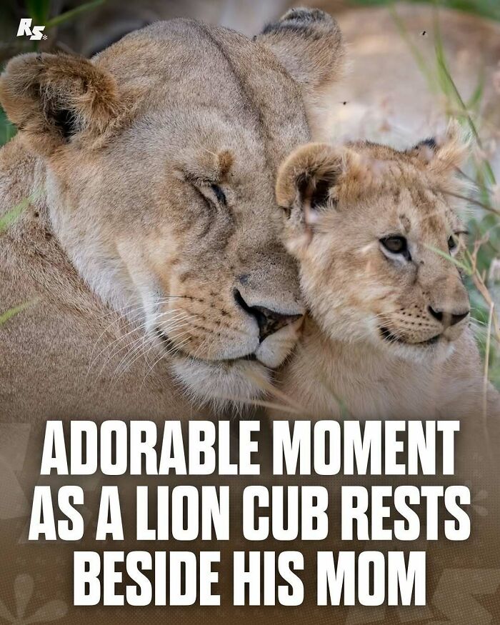 Explore Nature’s Hidden Gems With These 65 Incredible And Rare Animal Photos Explore Nature’s Hidden Gems With These 65 Incredible And Rare Animal Photos