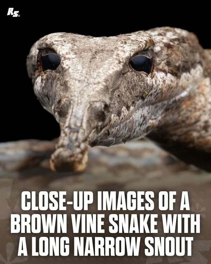 Explore Nature’s Hidden Gems With These 65 Incredible And Rare Animal Photos Explore Nature’s Hidden Gems With These 65 Incredible And Rare Animal Photos