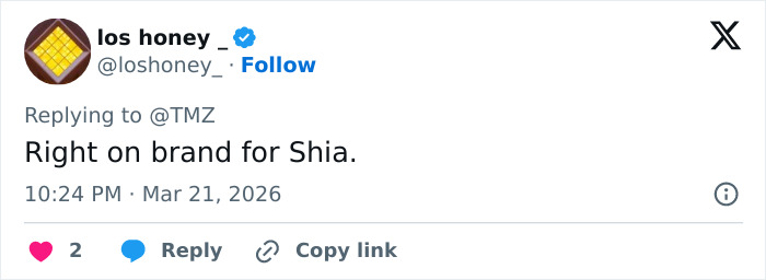 &ldquo;Such A Menace To Society&rdquo;: Shia LaBeouf Loses His Cool At Woman In Rome In New Footage