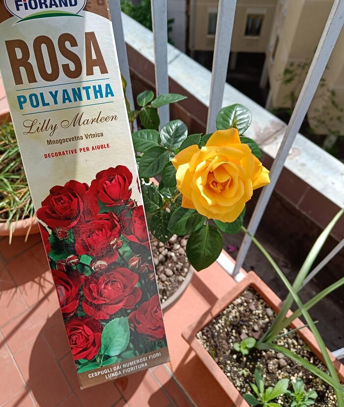 43 Disappointing Shopping Fails That Became The Reason People Have Trust Issues 43 Disappointing Shopping Fails That Became The Reason People Have Trust Issues