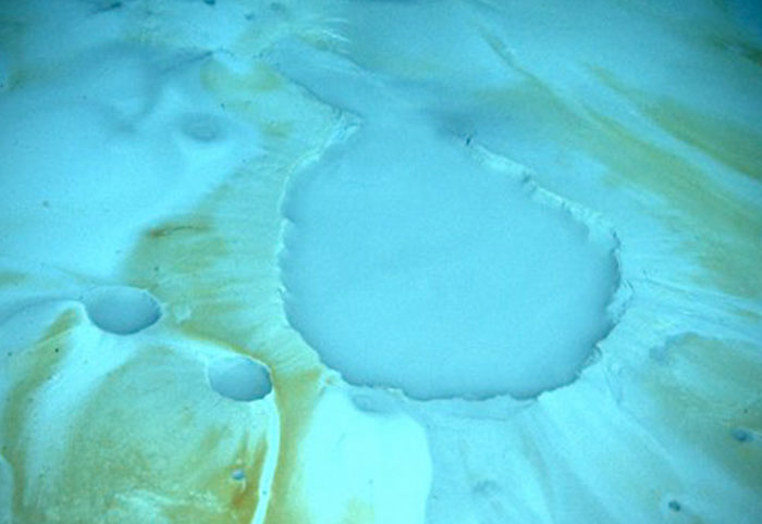 37 Of The Creepiest Facts About The Ocean You Might Wish You Never Knew 37 Of The Creepiest Facts About The Ocean You Might Wish You Never Knew