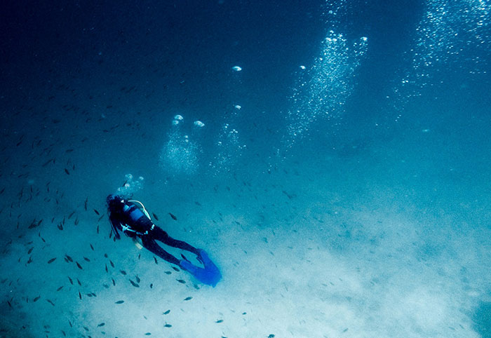 37 Of The Creepiest Facts About The Ocean You Might Wish You Never Knew 37 Of The Creepiest Facts About The Ocean You Might Wish You Never Knew