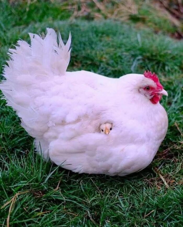 113 ‘Blessed Images’ That May Turn Your Day Around And Make It Better (New Pics) 113 ‘Blessed Images’ That May Turn Your Day Around And Make It Better (New Pics)