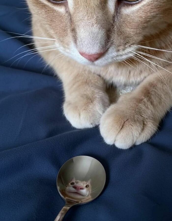 113 ‘Blessed Images’ That May Turn Your Day Around And Make It Better (New Pics) 113 ‘Blessed Images’ That May Turn Your Day Around And Make It Better (New Pics)