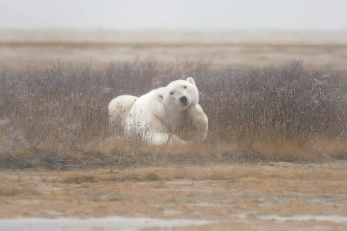 113 ‘Blessed Images’ That May Turn Your Day Around And Make It Better (New Pics) 113 ‘Blessed Images’ That May Turn Your Day Around And Make It Better (New Pics)