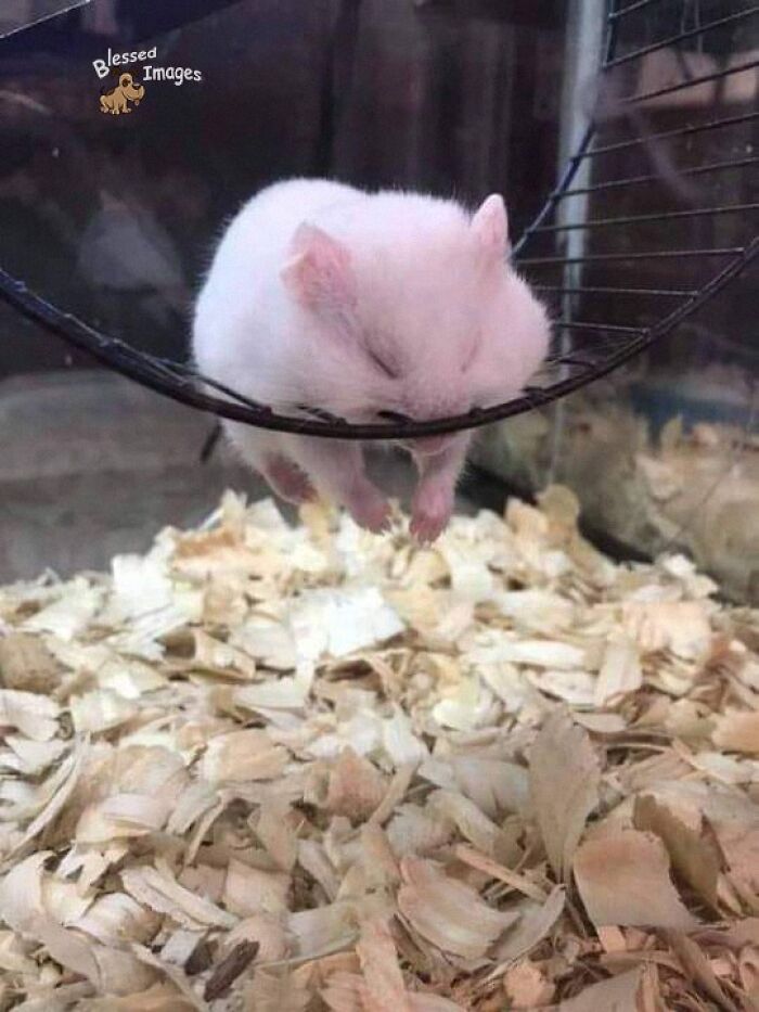 113 ‘Blessed Images’ That May Turn Your Day Around And Make It Better (New Pics) 113 ‘Blessed Images’ That May Turn Your Day Around And Make It Better (New Pics)