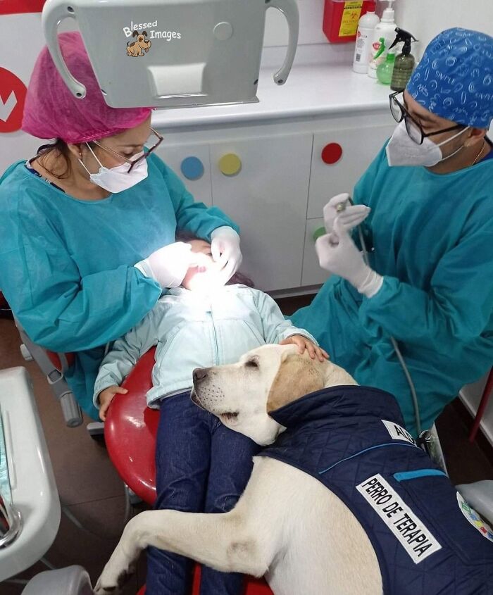 113 ‘Blessed Images’ That May Turn Your Day Around And Make It Better (New Pics) 113 ‘Blessed Images’ That May Turn Your Day Around And Make It Better (New Pics)