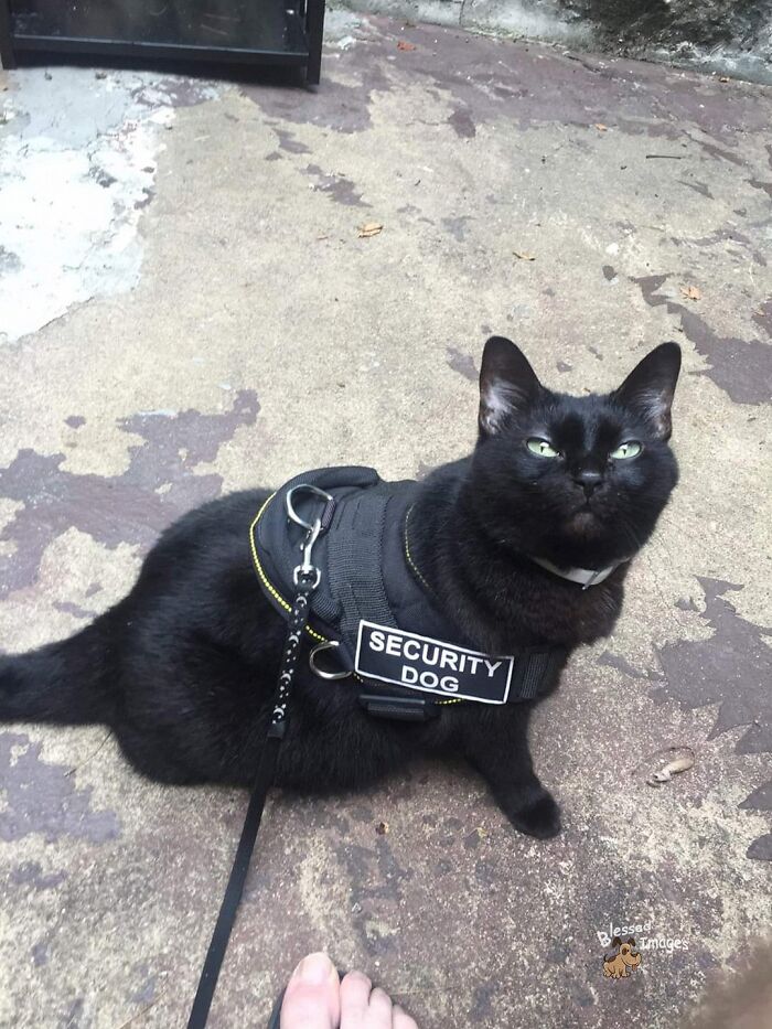 113 ‘Blessed Images’ That May Turn Your Day Around And Make It Better (New Pics) 113 ‘Blessed Images’ That May Turn Your Day Around And Make It Better (New Pics)