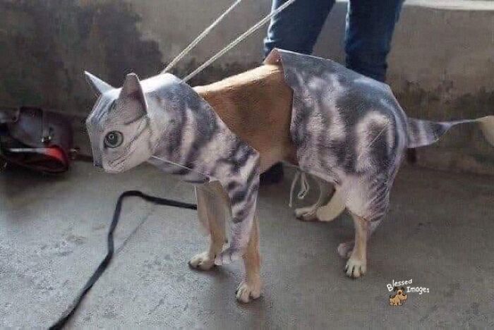 113 ‘Blessed Images’ That May Turn Your Day Around And Make It Better (New Pics) 113 ‘Blessed Images’ That May Turn Your Day Around And Make It Better (New Pics)