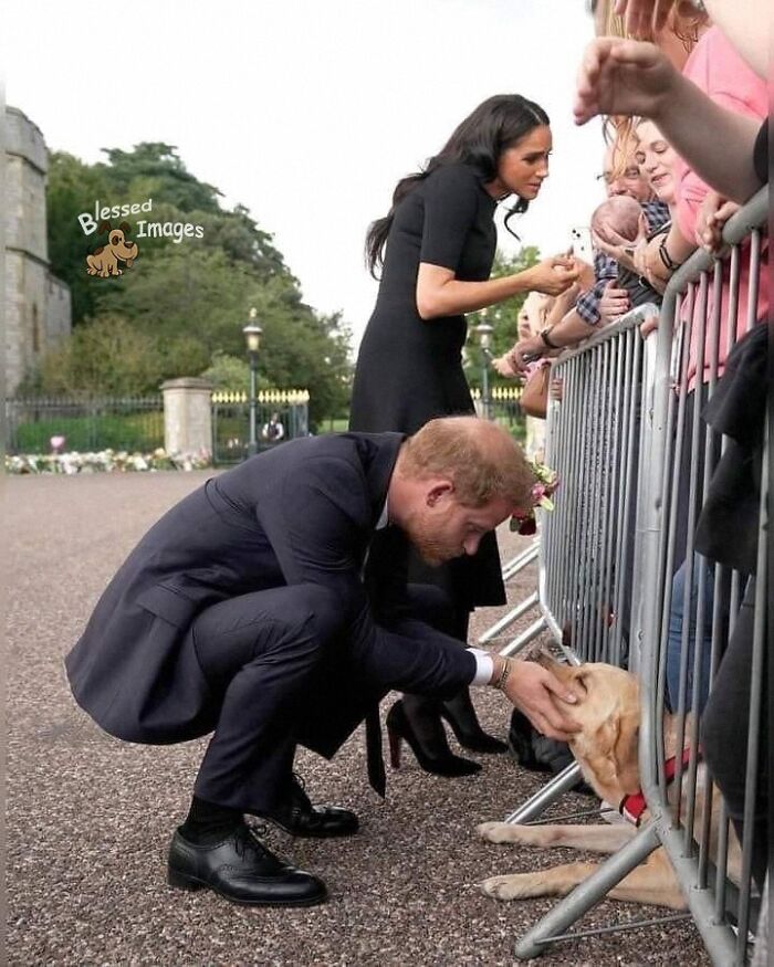 113 ‘Blessed Images’ That May Turn Your Day Around And Make It Better (New Pics) 113 ‘Blessed Images’ That May Turn Your Day Around And Make It Better (New Pics)