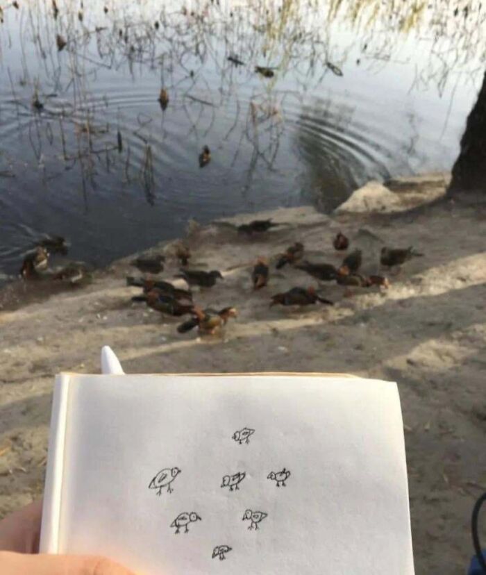 113 ‘Blessed Images’ That May Turn Your Day Around And Make It Better (New Pics) 113 ‘Blessed Images’ That May Turn Your Day Around And Make It Better (New Pics)