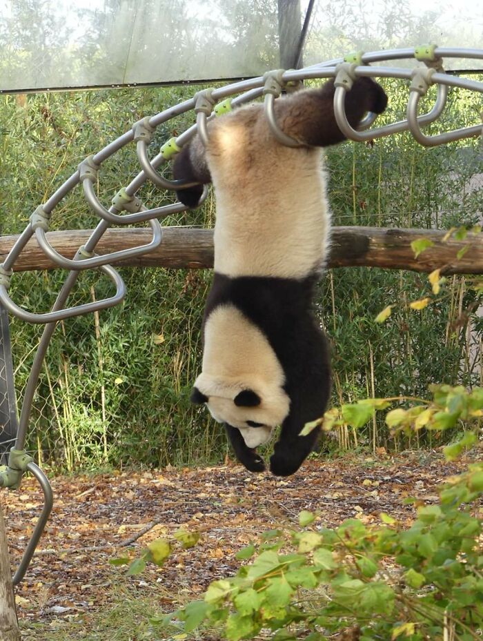 113 ‘Blessed Images’ That May Turn Your Day Around And Make It Better (New Pics) 113 ‘Blessed Images’ That May Turn Your Day Around And Make It Better (New Pics)