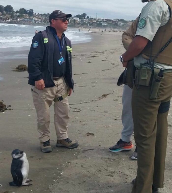 113 ‘Blessed Images’ That May Turn Your Day Around And Make It Better (New Pics) 113 ‘Blessed Images’ That May Turn Your Day Around And Make It Better (New Pics)