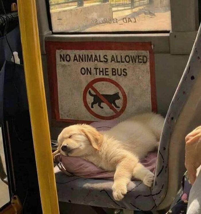 113 ‘Blessed Images’ That May Turn Your Day Around And Make It Better (New Pics) 113 ‘Blessed Images’ That May Turn Your Day Around And Make It Better (New Pics)