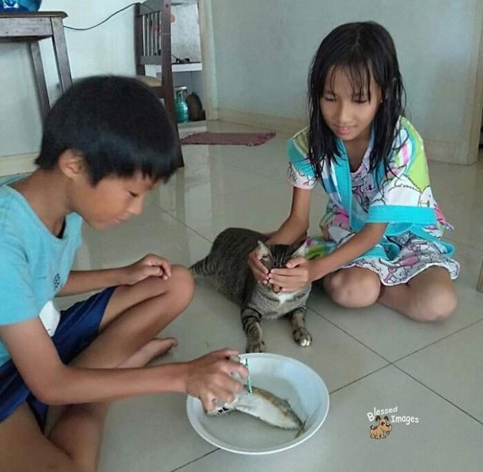 113 ‘Blessed Images’ That May Turn Your Day Around And Make It Better (New Pics) 113 ‘Blessed Images’ That May Turn Your Day Around And Make It Better (New Pics)