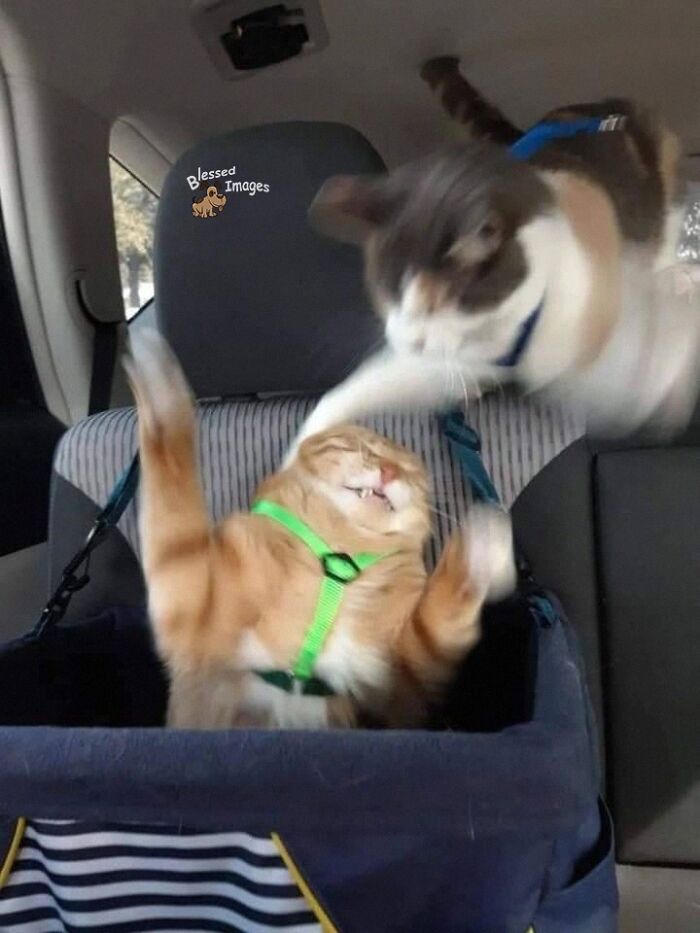 113 ‘Blessed Images’ That May Turn Your Day Around And Make It Better (New Pics) 113 ‘Blessed Images’ That May Turn Your Day Around And Make It Better (New Pics)