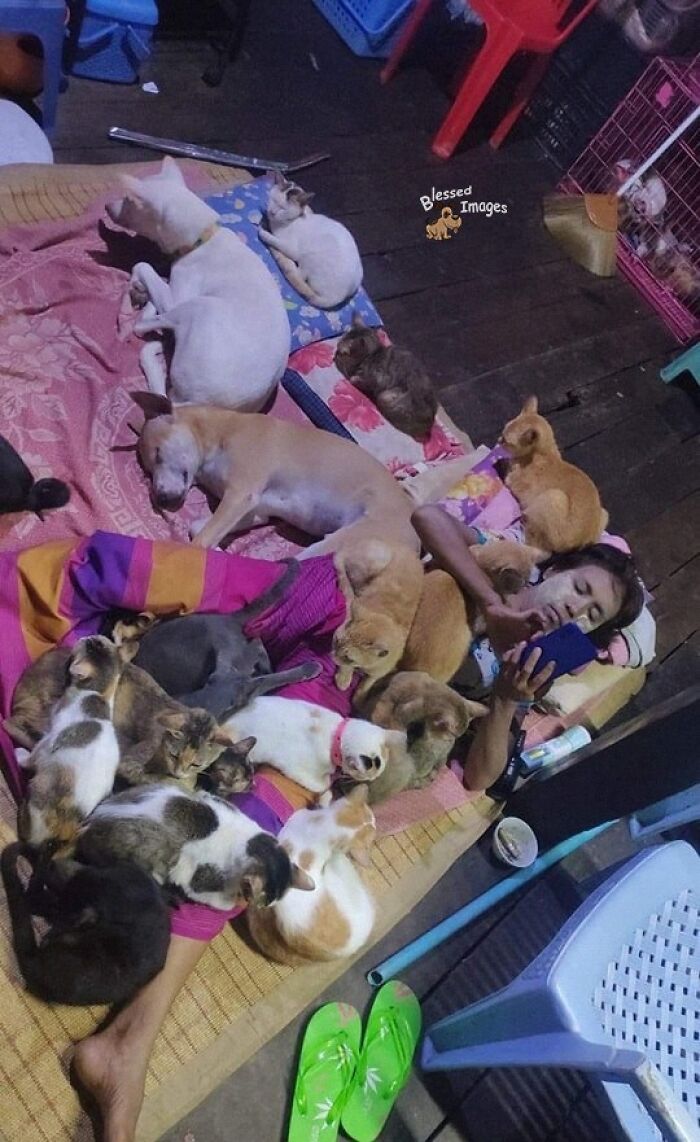 113 ‘Blessed Images’ That May Turn Your Day Around And Make It Better (New Pics) 113 ‘Blessed Images’ That May Turn Your Day Around And Make It Better (New Pics)