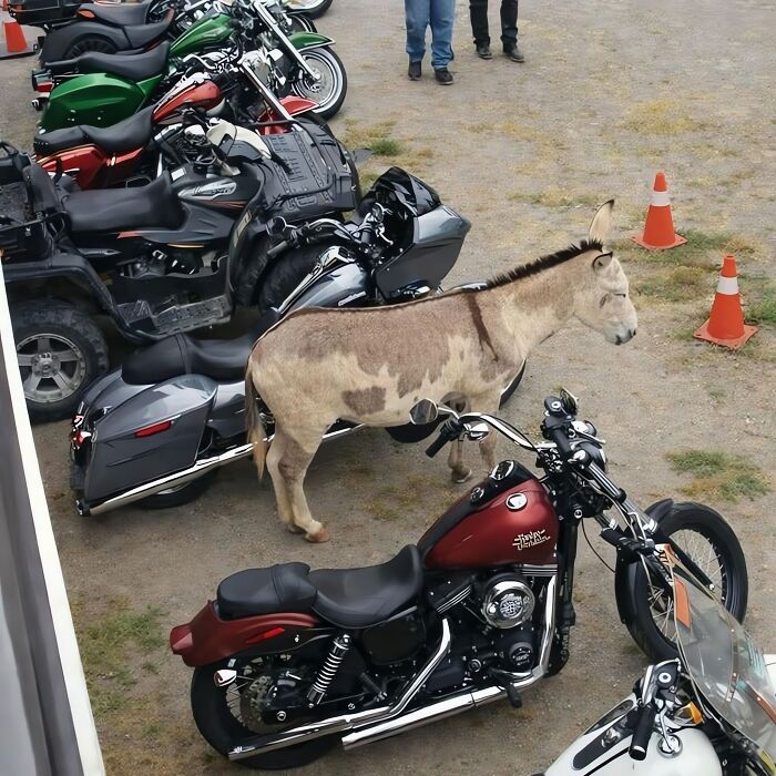 113 ‘Blessed Images’ That May Turn Your Day Around And Make It Better (New Pics) 113 ‘Blessed Images’ That May Turn Your Day Around And Make It Better (New Pics)