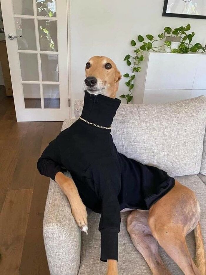 113 ‘Blessed Images’ That May Turn Your Day Around And Make It Better (New Pics) 113 ‘Blessed Images’ That May Turn Your Day Around And Make It Better (New Pics)