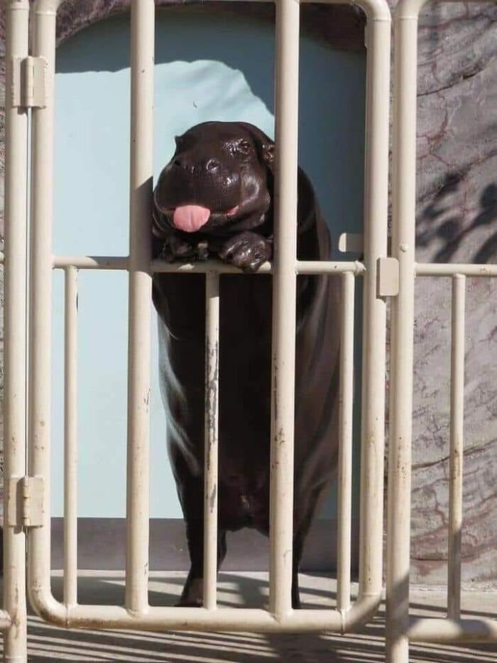 113 ‘Blessed Images’ That May Turn Your Day Around And Make It Better (New Pics) 113 ‘Blessed Images’ That May Turn Your Day Around And Make It Better (New Pics)