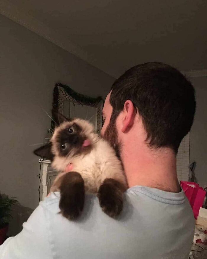 113 ‘Blessed Images’ That May Turn Your Day Around And Make It Better (New Pics) 113 ‘Blessed Images’ That May Turn Your Day Around And Make It Better (New Pics)