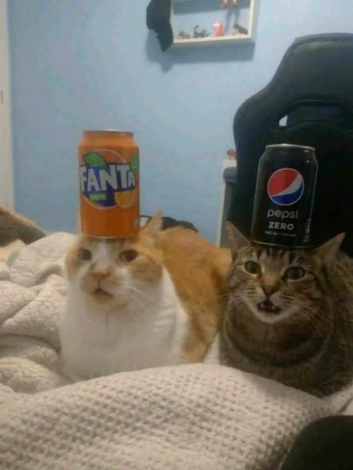 113 ‘Blessed Images’ That May Turn Your Day Around And Make It Better (New Pics) 113 ‘Blessed Images’ That May Turn Your Day Around And Make It Better (New Pics)