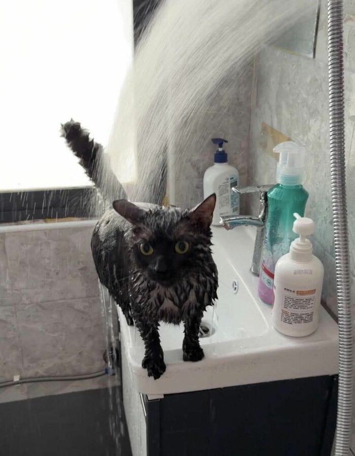 113 ‘Blessed Images’ That May Turn Your Day Around And Make It Better (New Pics) 113 ‘Blessed Images’ That May Turn Your Day Around And Make It Better (New Pics)