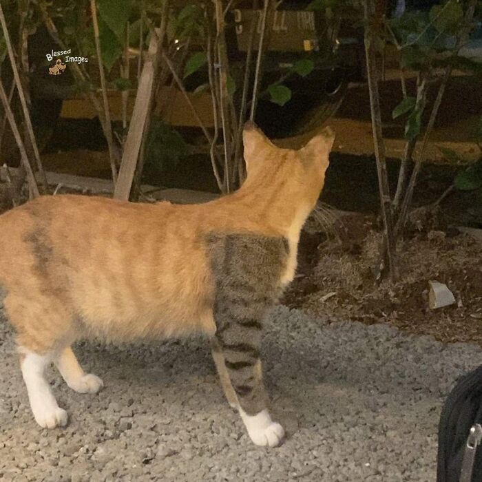 113 ‘Blessed Images’ That May Turn Your Day Around And Make It Better (New Pics) 113 ‘Blessed Images’ That May Turn Your Day Around And Make It Better (New Pics)