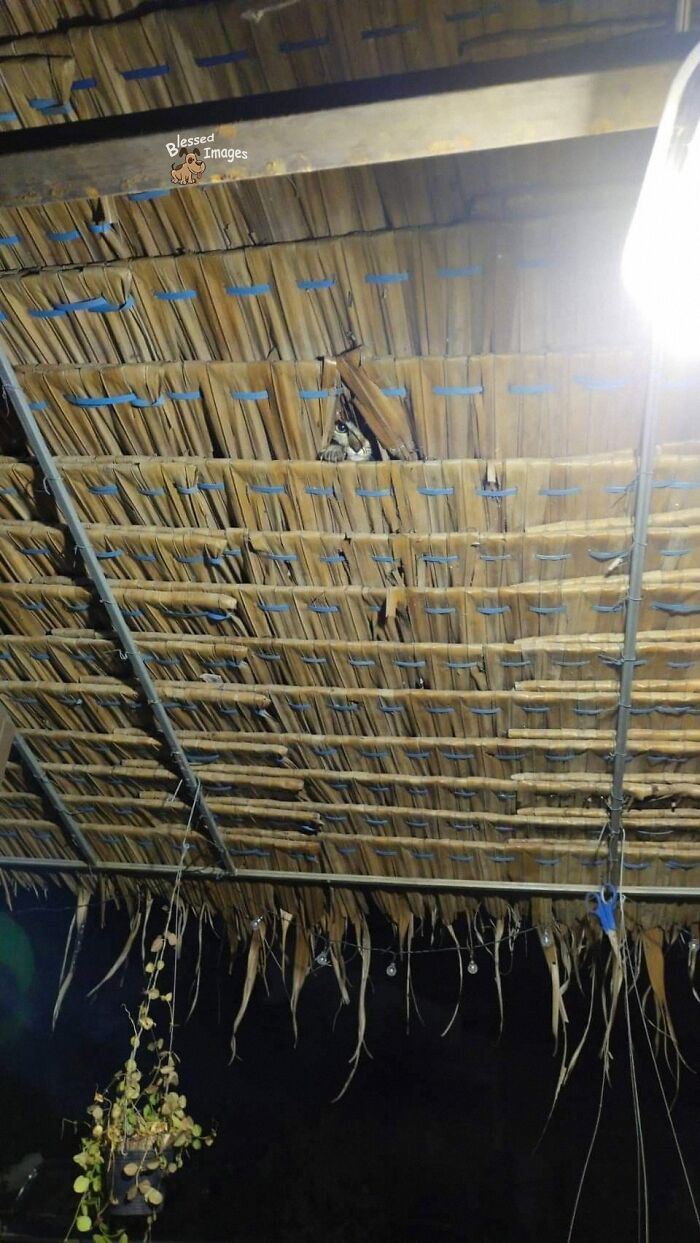 113 ‘Blessed Images’ That May Turn Your Day Around And Make It Better (New Pics) 113 ‘Blessed Images’ That May Turn Your Day Around And Make It Better (New Pics)