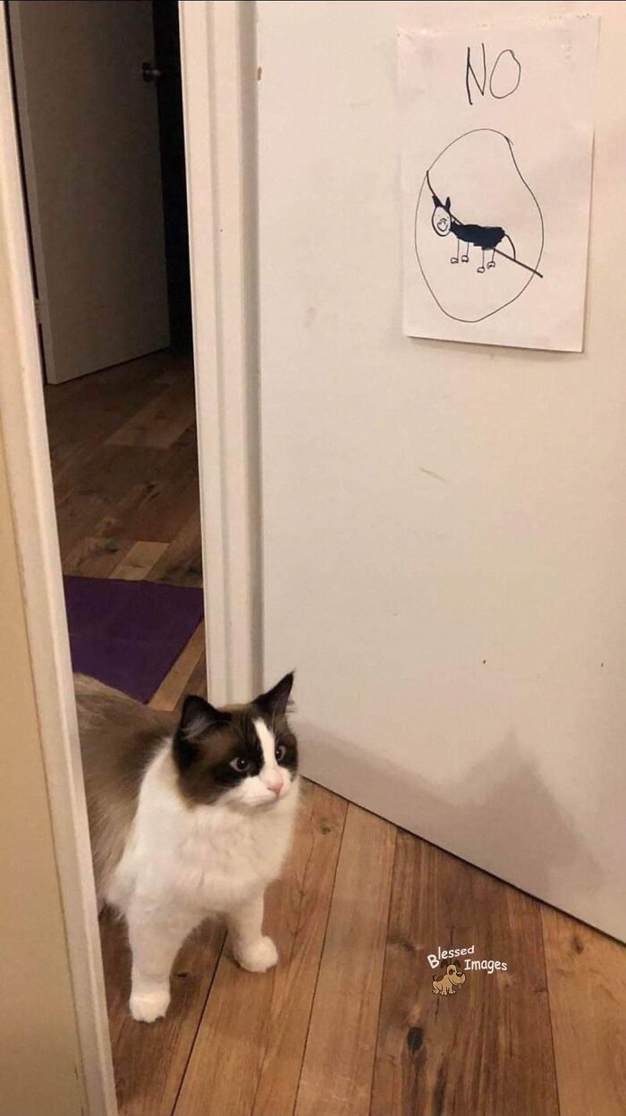 113 ‘Blessed Images’ That May Turn Your Day Around And Make It Better (New Pics) 113 ‘Blessed Images’ That May Turn Your Day Around And Make It Better (New Pics)