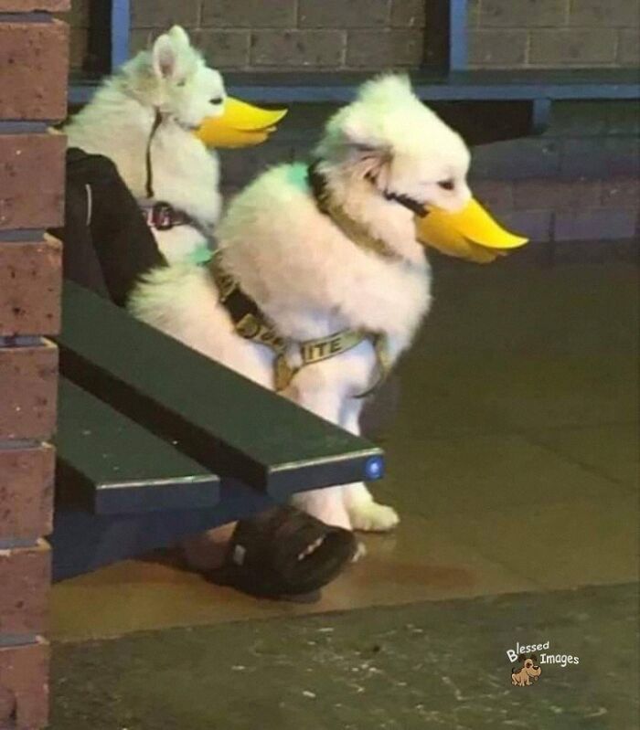 113 ‘Blessed Images’ That May Turn Your Day Around And Make It Better (New Pics) 113 ‘Blessed Images’ That May Turn Your Day Around And Make It Better (New Pics)