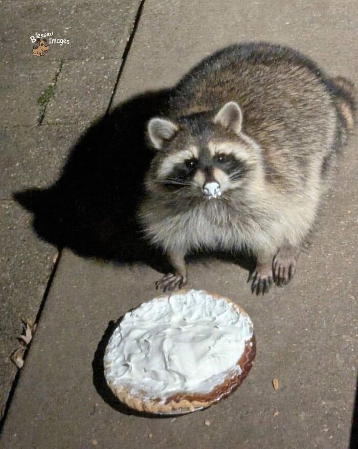 113 ‘Blessed Images’ That May Turn Your Day Around And Make It Better (New Pics) 113 ‘Blessed Images’ That May Turn Your Day Around And Make It Better (New Pics)