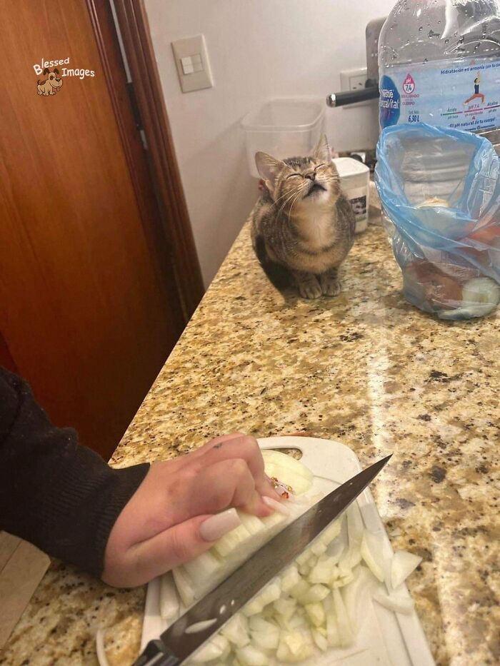 113 ‘Blessed Images’ That May Turn Your Day Around And Make It Better (New Pics) 113 ‘Blessed Images’ That May Turn Your Day Around And Make It Better (New Pics)