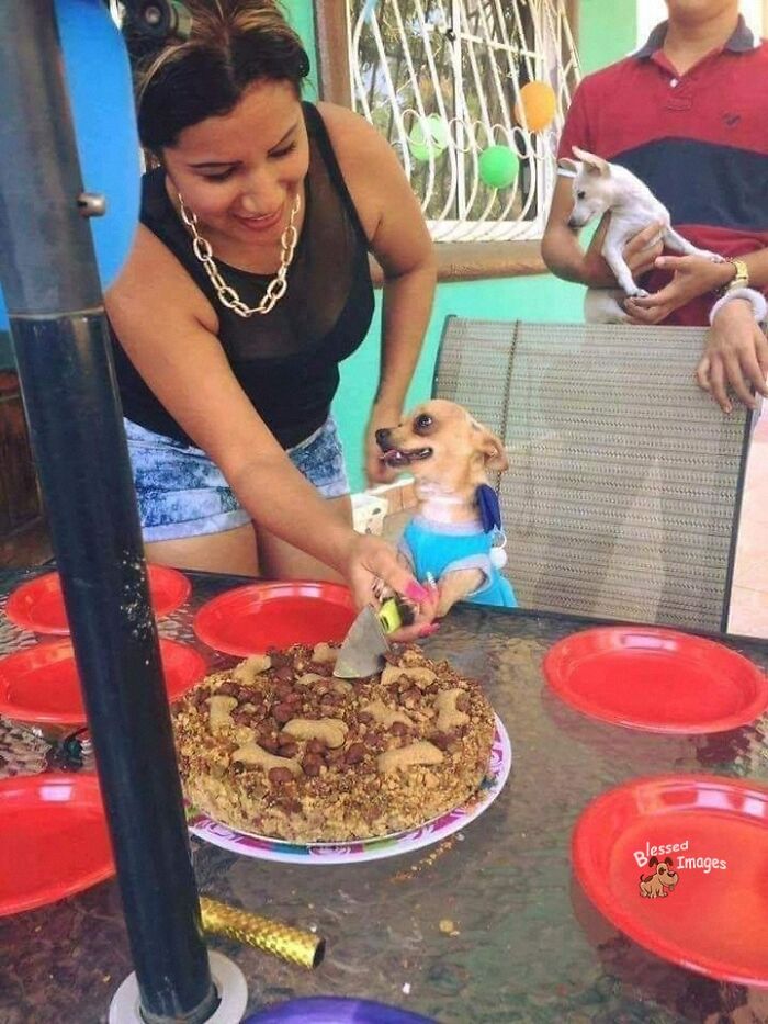 113 ‘Blessed Images’ That May Turn Your Day Around And Make It Better (New Pics) 113 ‘Blessed Images’ That May Turn Your Day Around And Make It Better (New Pics)