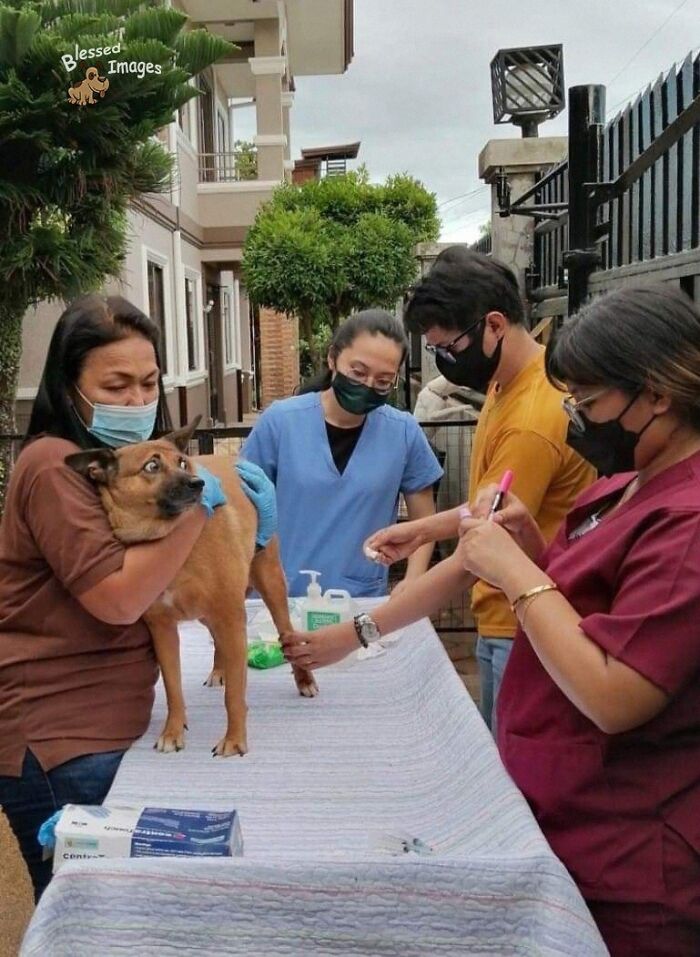 113 ‘Blessed Images’ That May Turn Your Day Around And Make It Better (New Pics) 113 ‘Blessed Images’ That May Turn Your Day Around And Make It Better (New Pics)