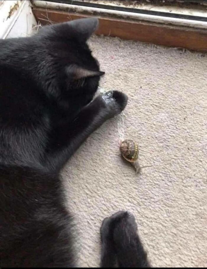 113 ‘Blessed Images’ That May Turn Your Day Around And Make It Better (New Pics) 113 ‘Blessed Images’ That May Turn Your Day Around And Make It Better (New Pics)