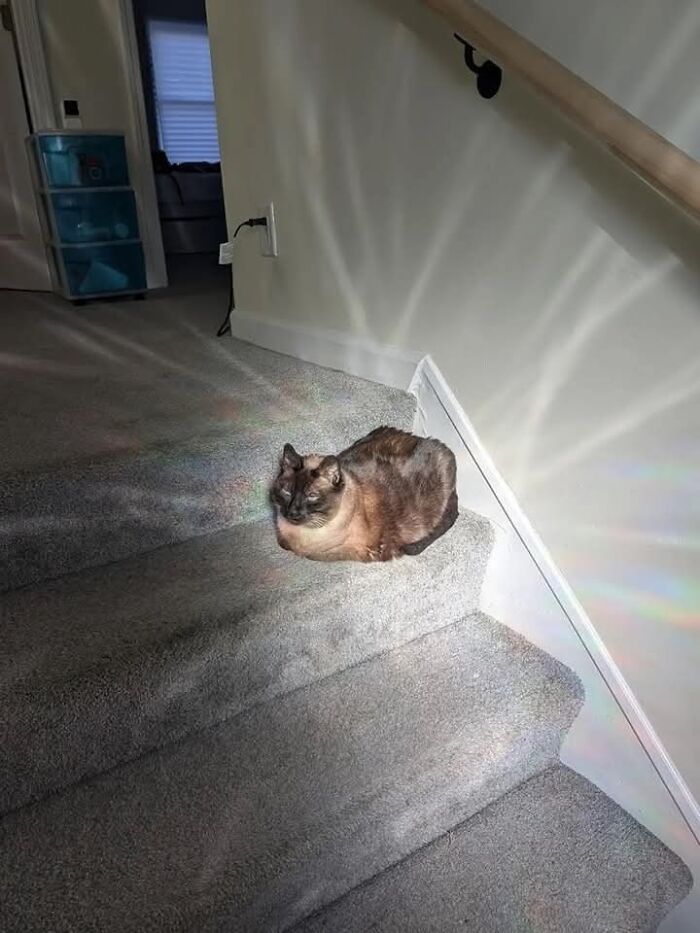 113 ‘Blessed Images’ That May Turn Your Day Around And Make It Better (New Pics) 113 ‘Blessed Images’ That May Turn Your Day Around And Make It Better (New Pics)