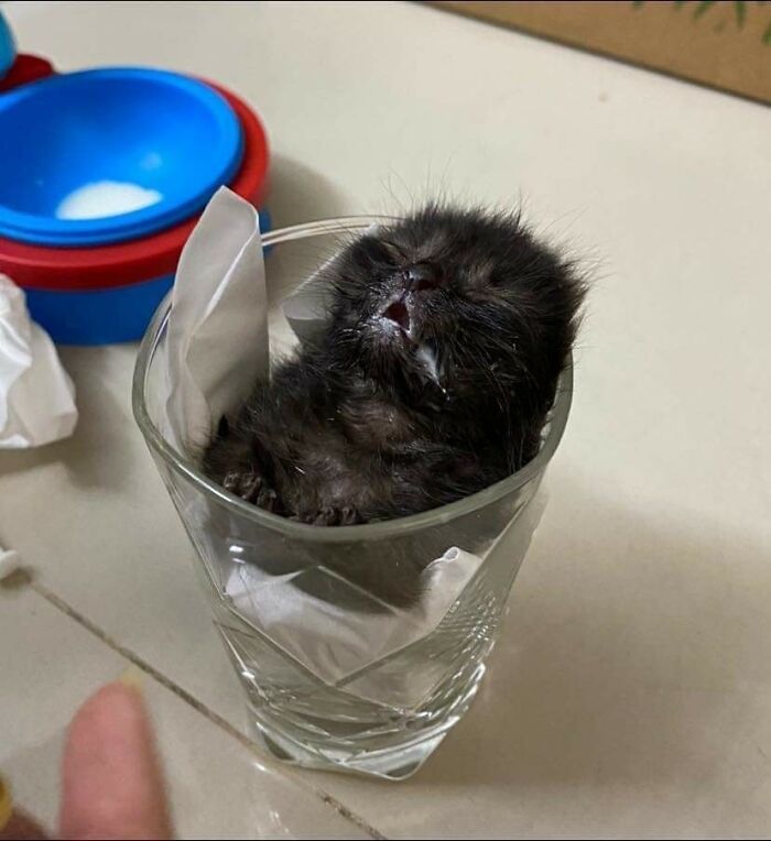 113 ‘Blessed Images’ That May Turn Your Day Around And Make It Better (New Pics) 113 ‘Blessed Images’ That May Turn Your Day Around And Make It Better (New Pics)