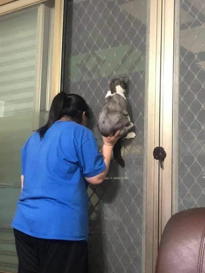 113 ‘Blessed Images’ That May Turn Your Day Around And Make It Better (New Pics) 113 ‘Blessed Images’ That May Turn Your Day Around And Make It Better (New Pics)