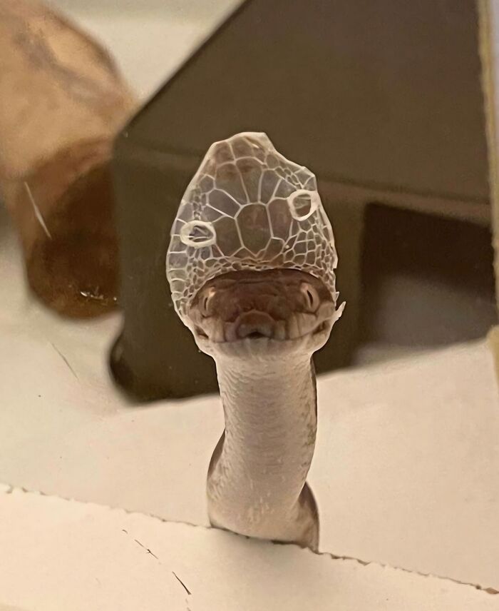 113 ‘Blessed Images’ That May Turn Your Day Around And Make It Better (New Pics) 113 ‘Blessed Images’ That May Turn Your Day Around And Make It Better (New Pics)