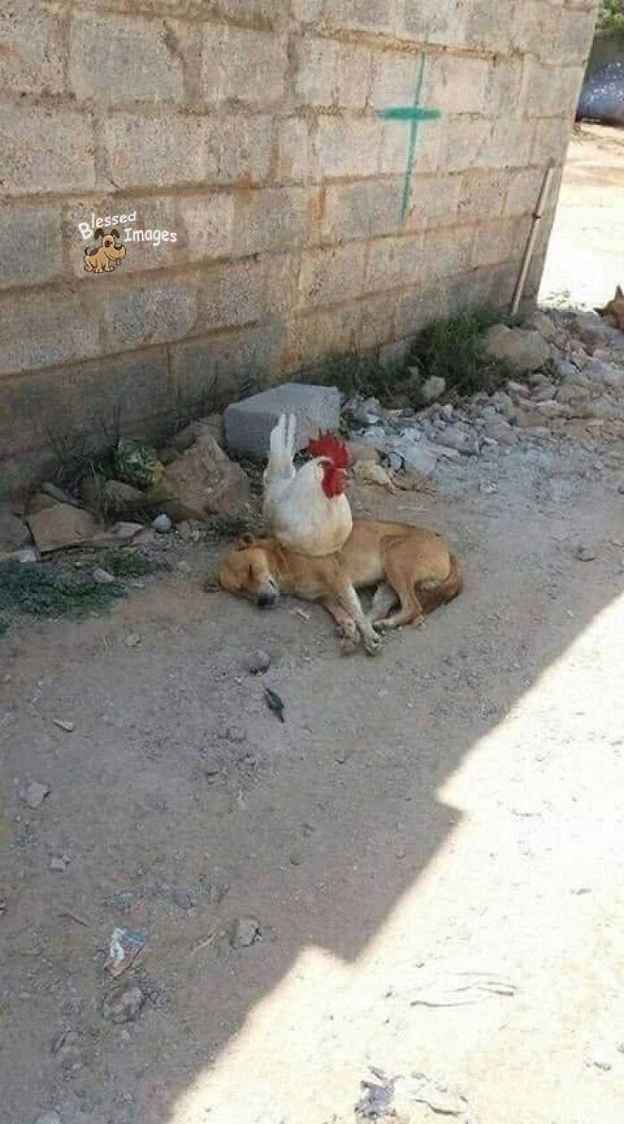 113 ‘Blessed Images’ That May Turn Your Day Around And Make It Better (New Pics) 113 ‘Blessed Images’ That May Turn Your Day Around And Make It Better (New Pics)