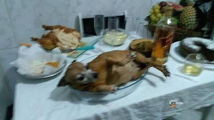 113 ‘Blessed Images’ That May Turn Your Day Around And Make It Better (New Pics) 113 ‘Blessed Images’ That May Turn Your Day Around And Make It Better (New Pics)