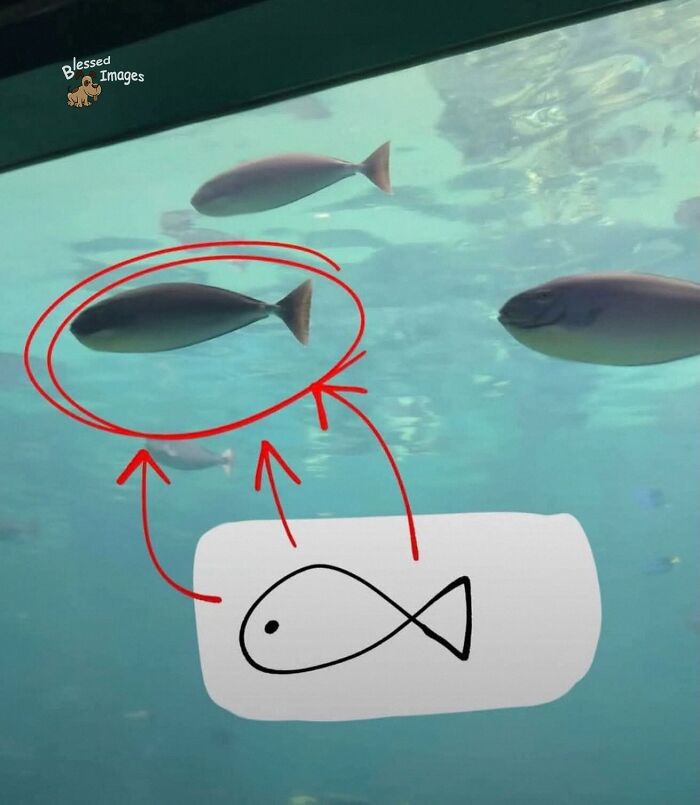 113 ‘Blessed Images’ That May Turn Your Day Around And Make It Better (New Pics) 113 ‘Blessed Images’ That May Turn Your Day Around And Make It Better (New Pics)